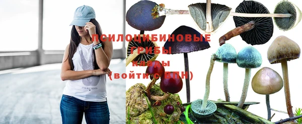 мескалин Арсеньев