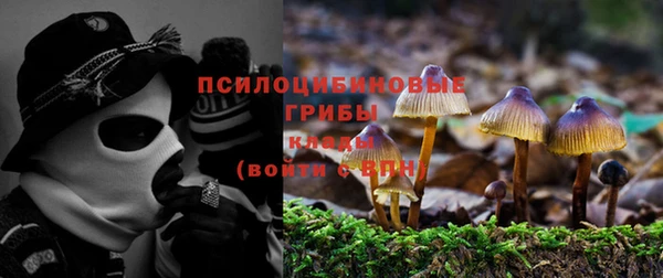 мескалин Арсеньев