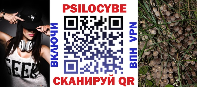 купить наркотики цена  Сольцы  Псилоцибиновые грибы MAGIC MUSHROOMS 